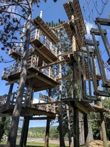 A photo of the ropes course from below