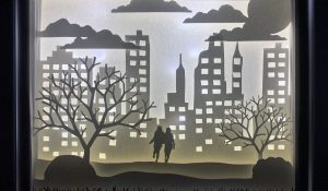 Shadow box by Jessie Hotchkiss