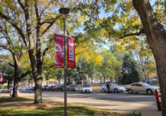 Murphy_Square2