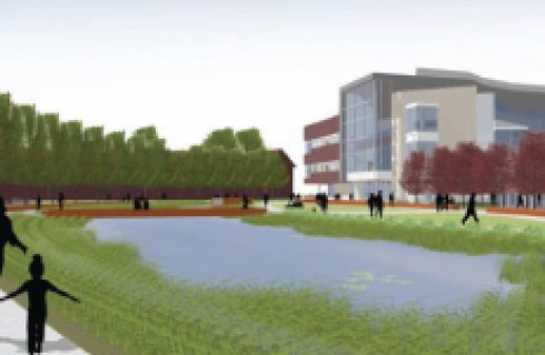 Expanding undergraduate research